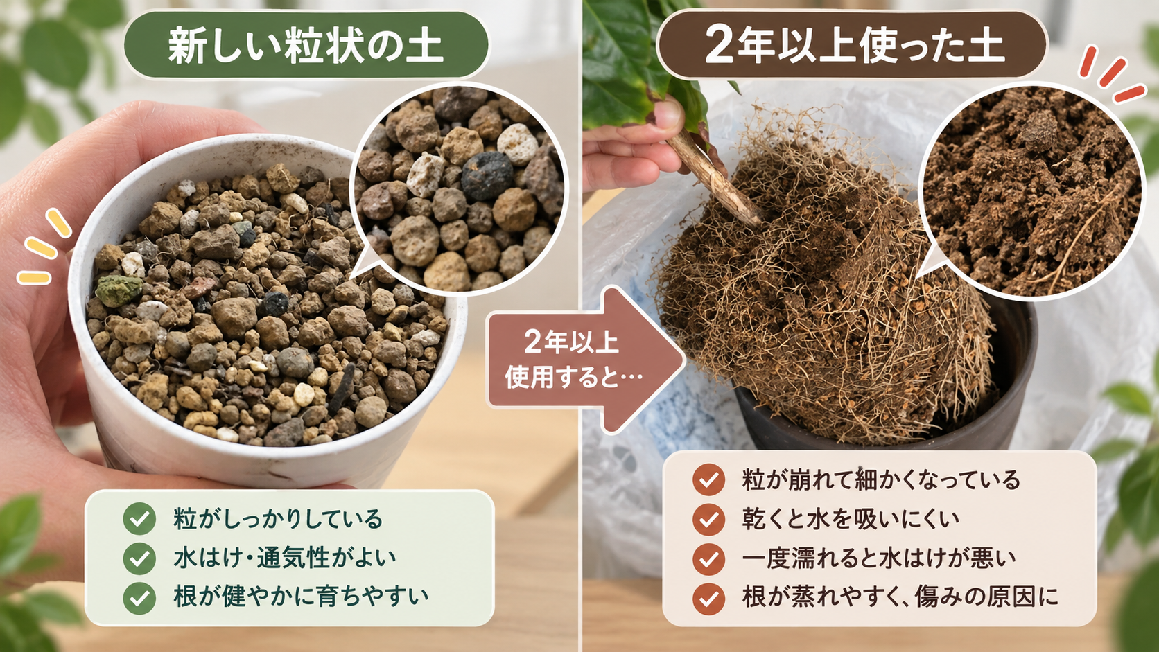 観葉植物の土が水を吸わない原因｜新しい土と2年以上使った土の比較
